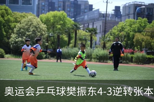 奥运会乒乓球樊振东4-3逆转张本智和 晋级男单4强